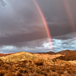 _MG_2230x3