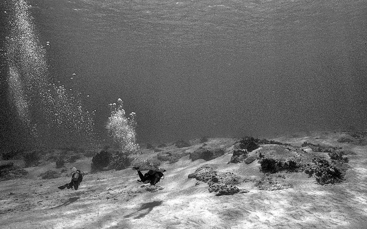 BuddyDivers