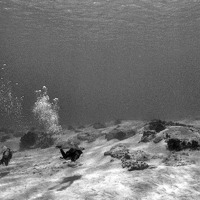 Cozumel 2001