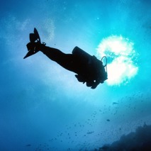 Fiji 2011