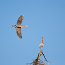 Flyby