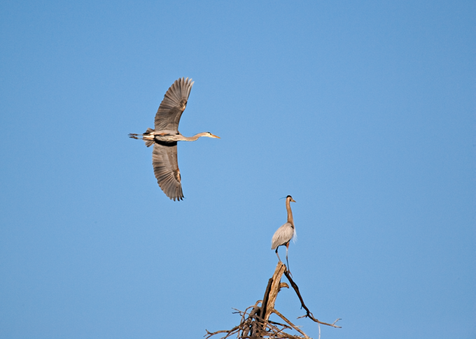 Flyby