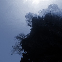 IMG0029