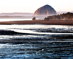 LowTide