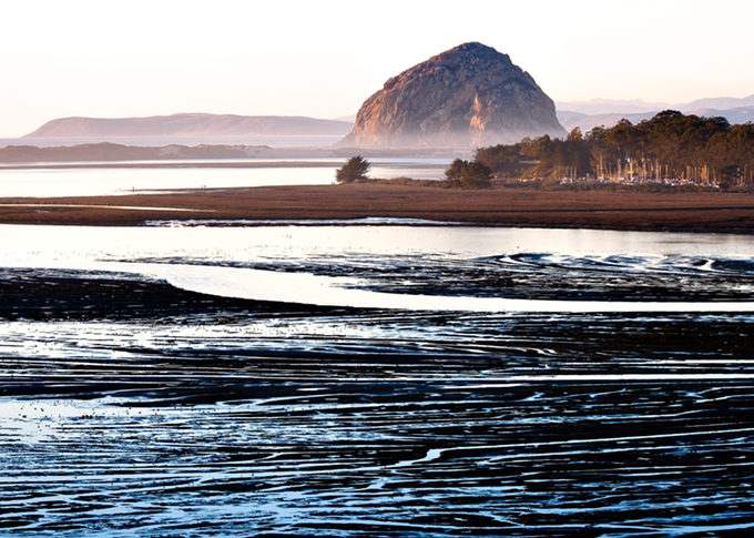 LowTide