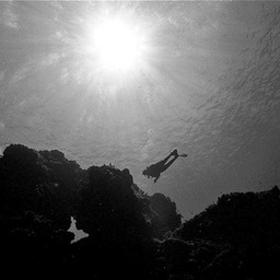 SunDiver