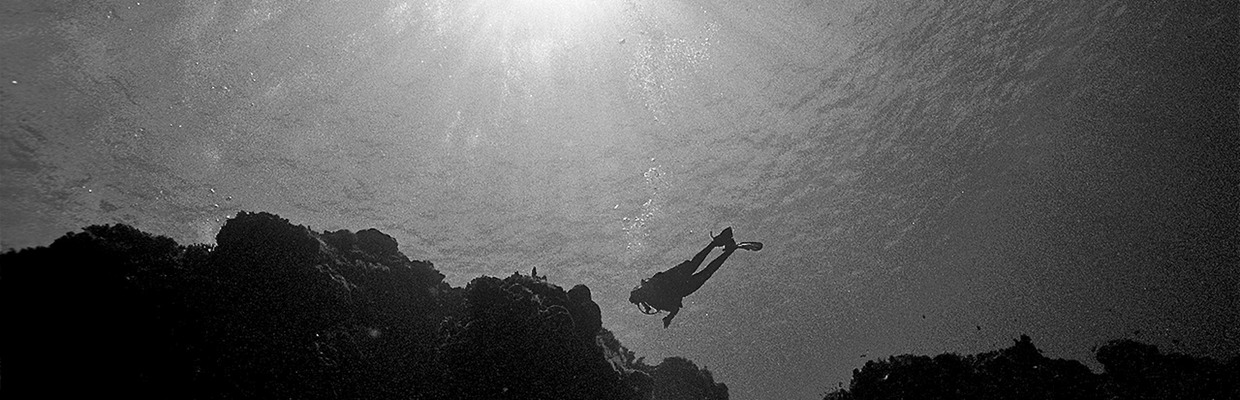 SunDiver