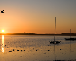 SunsetBoats