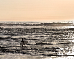 Surfer