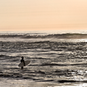 Surfer