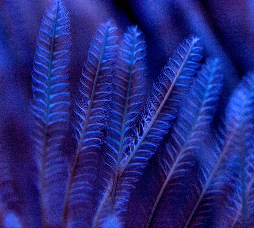 127_2752