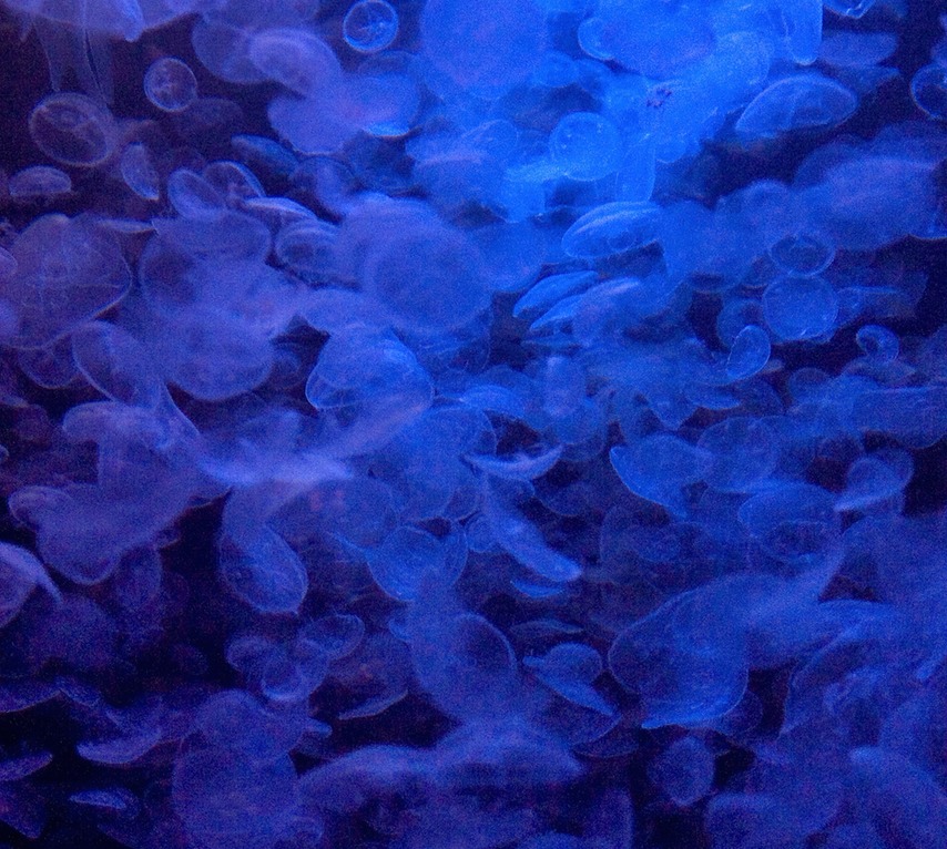 127_2775