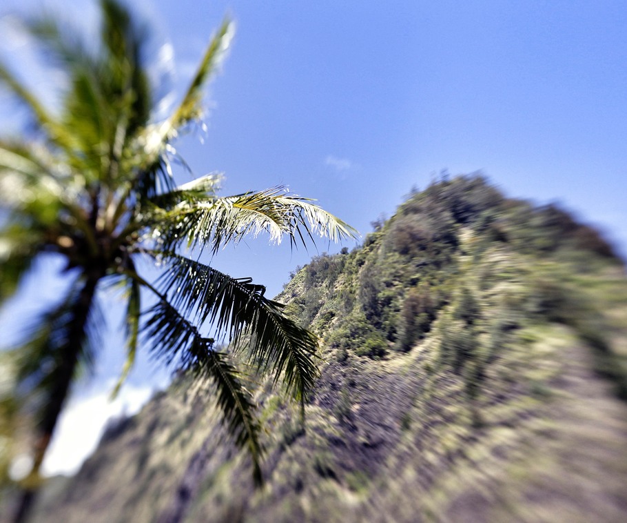 _K0P8649
