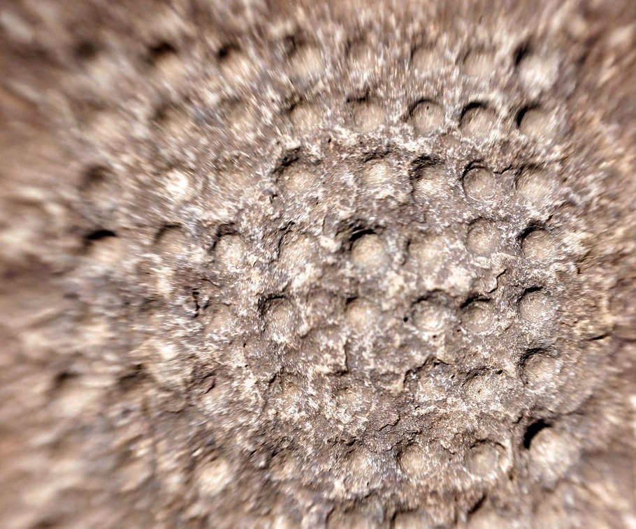 _K0P8733