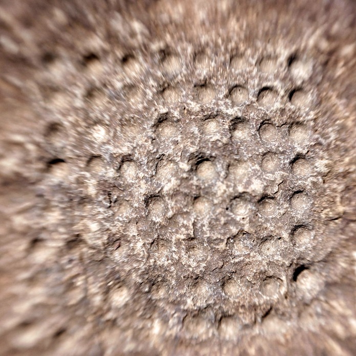 _K0P8733